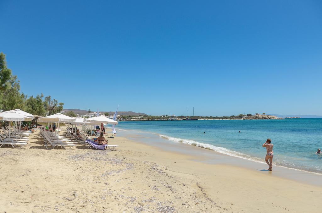 Naxos Golden Beach 2 Agia Anna  Bagian luar foto